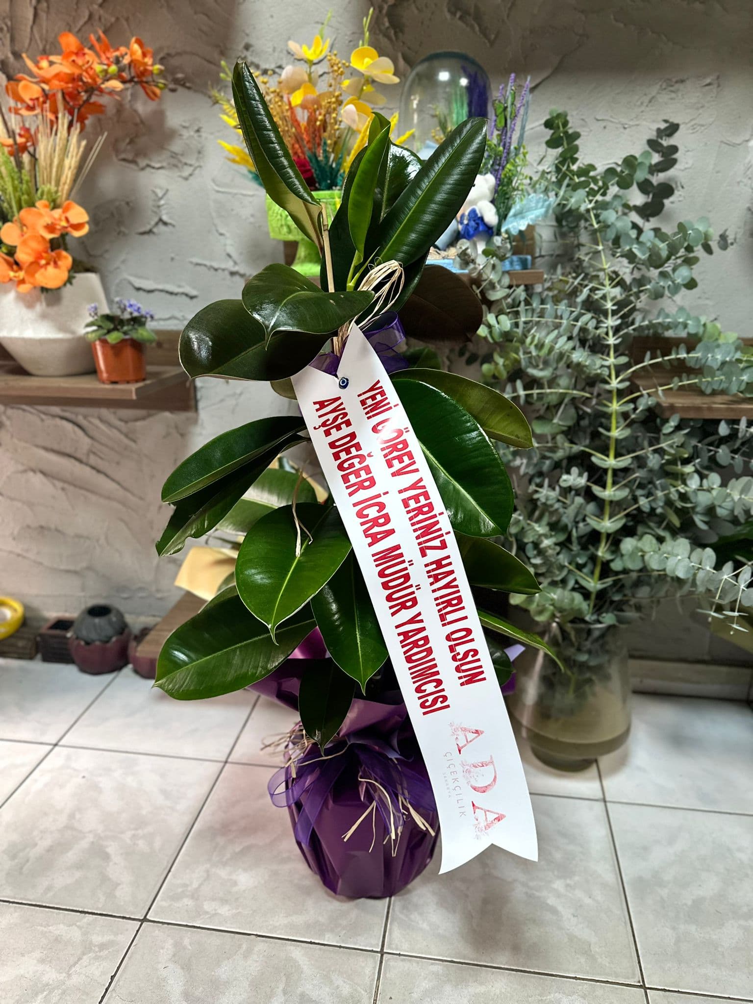 Saksı Çiçekleri - Ada Çiçekçilik